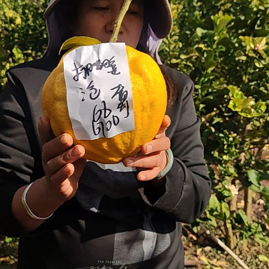 打***泡小黄金就很尴尬ggggggb