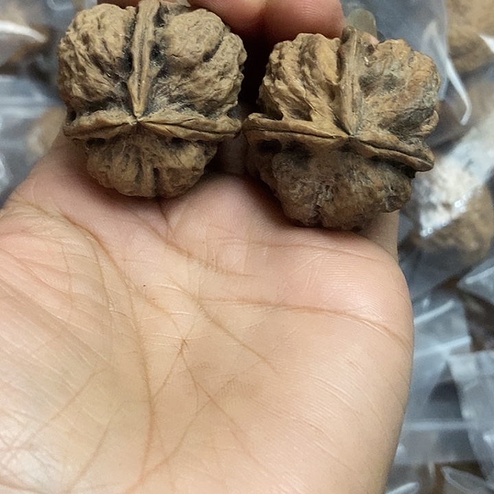 文玩核桃把件云南铁核桃基地19