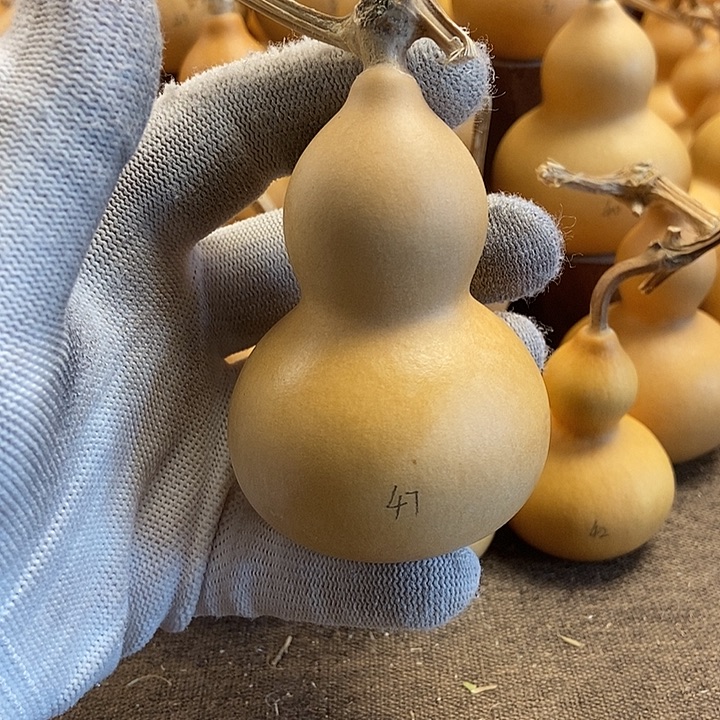 文玩葫芦 完美主义者 慎拍47