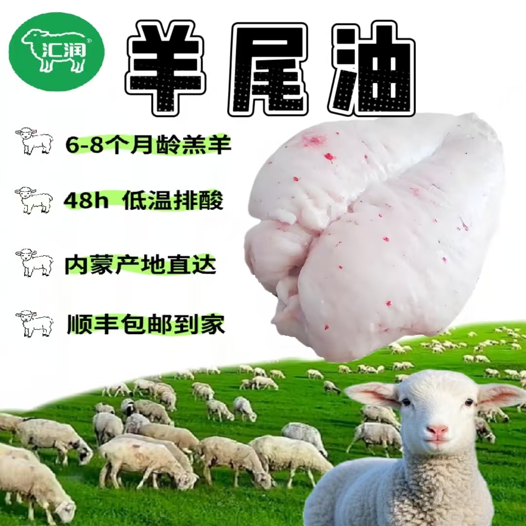 羊尾油内蒙古新鲜羊尾油顺丰包邮可用于烧烤串串商用饭店