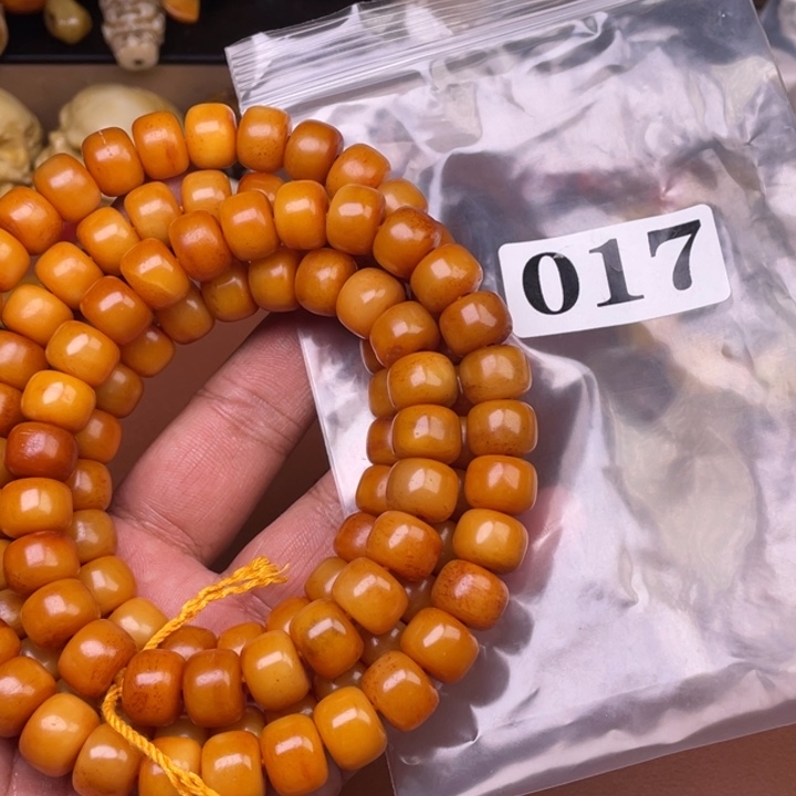 驼骨其他人工养殖