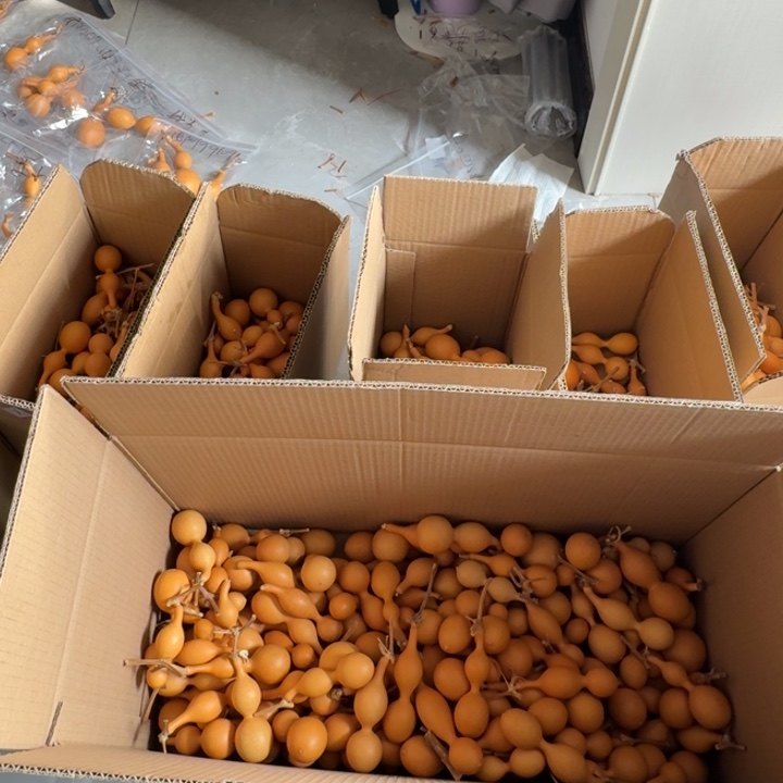 用***4精品手把蚂蚁肚葫芦
