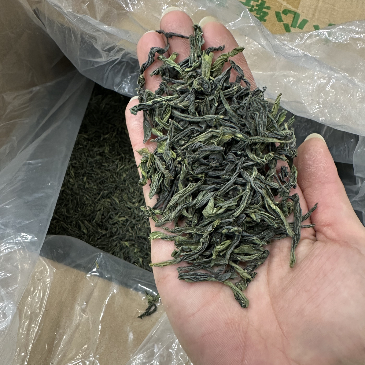 六安瓜片 纯手工 兰花香 口粮茶 GP-188