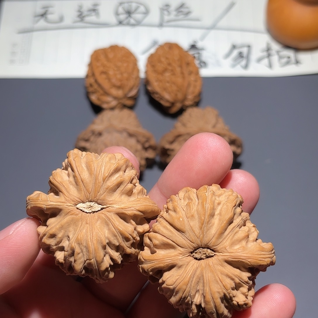 核桃手串/手链44白狮子