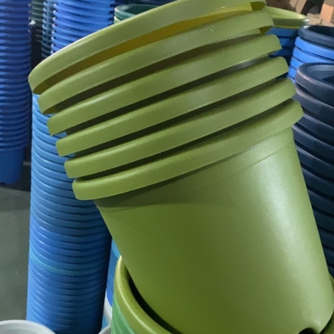 树脂特价5号6个无托果绿