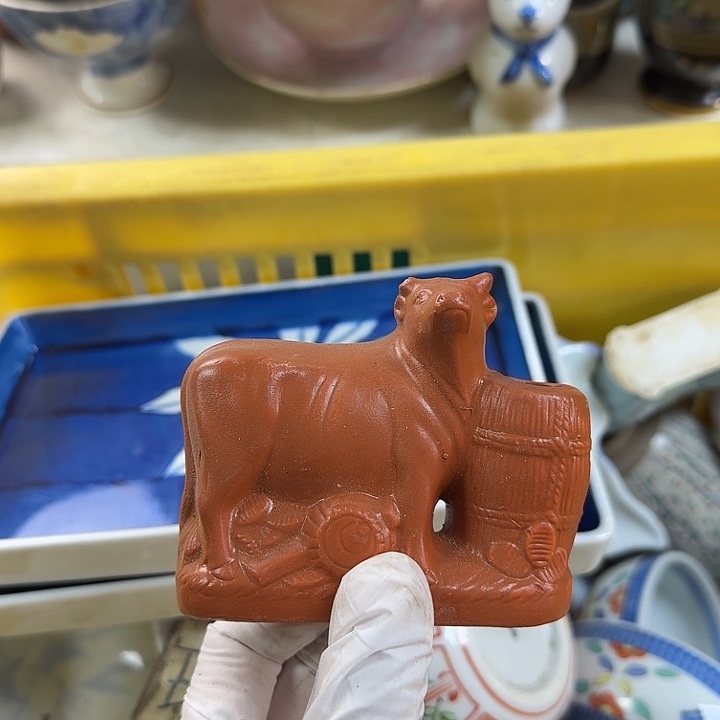 碟开播啦….开播啦