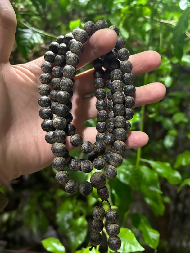 【土特产菇147】净含量43g