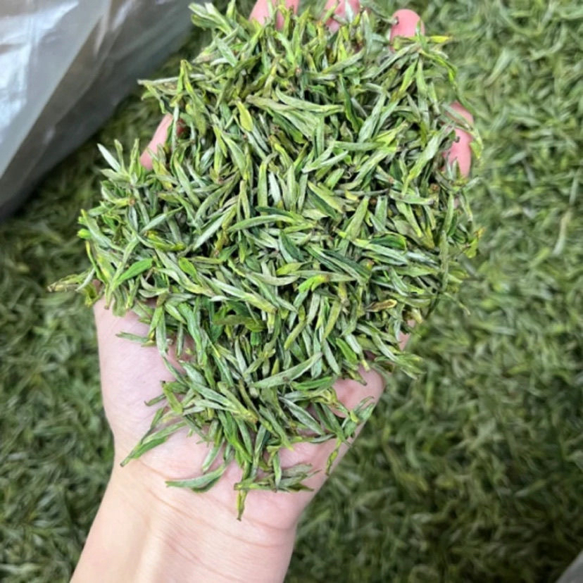 2025年明前特级黄山毛峰浓香耐泡不苦不涩