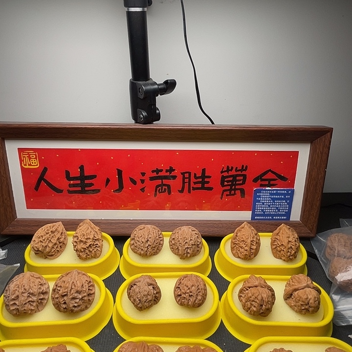 -***安全品无修的白狮子