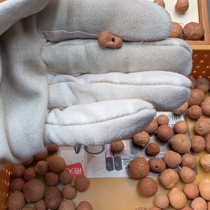 凤眼菩提吊坠干**落