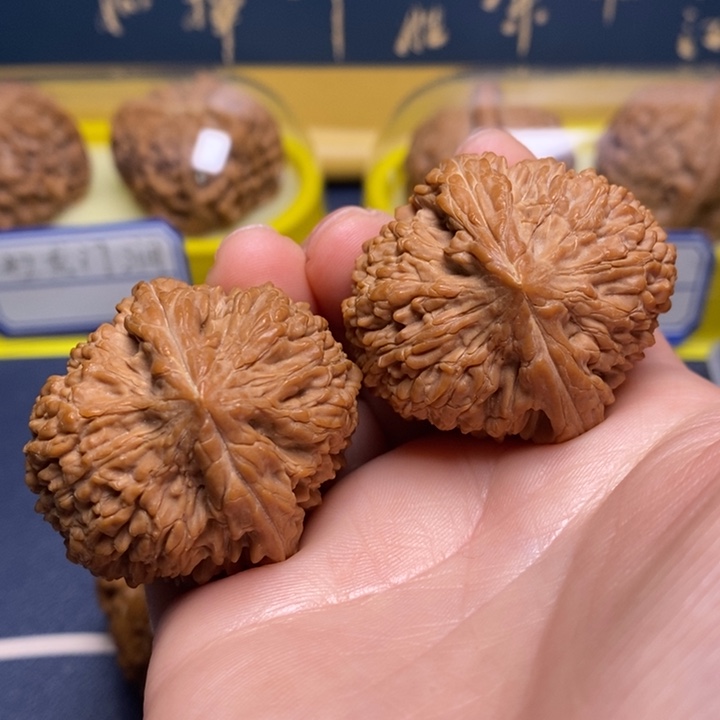 文玩核桃吊坠38肚大蒜头