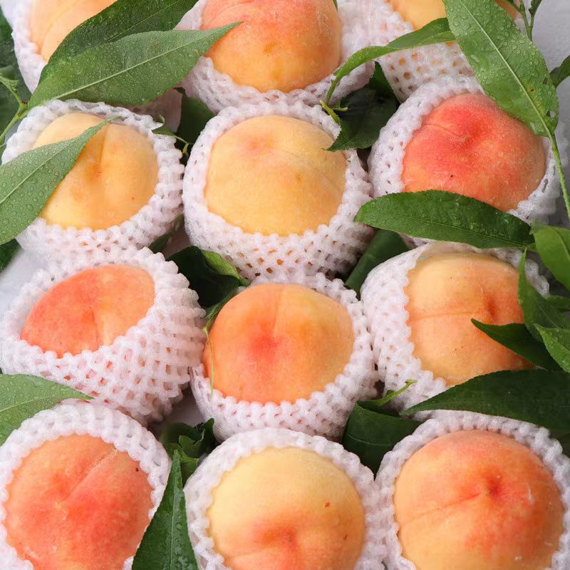 【丫头精选】正宗无锡水蜜桃甜桃子新鲜水果湖景白凤软当季新鲜水果桃子江苏省