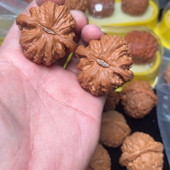 核桃白狮子，42已打底