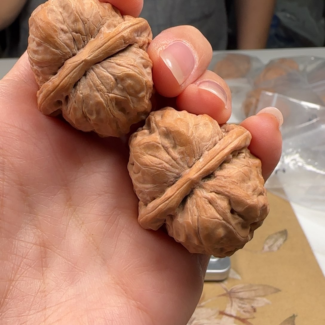 文玩核桃吊坠蛤蟆34-61