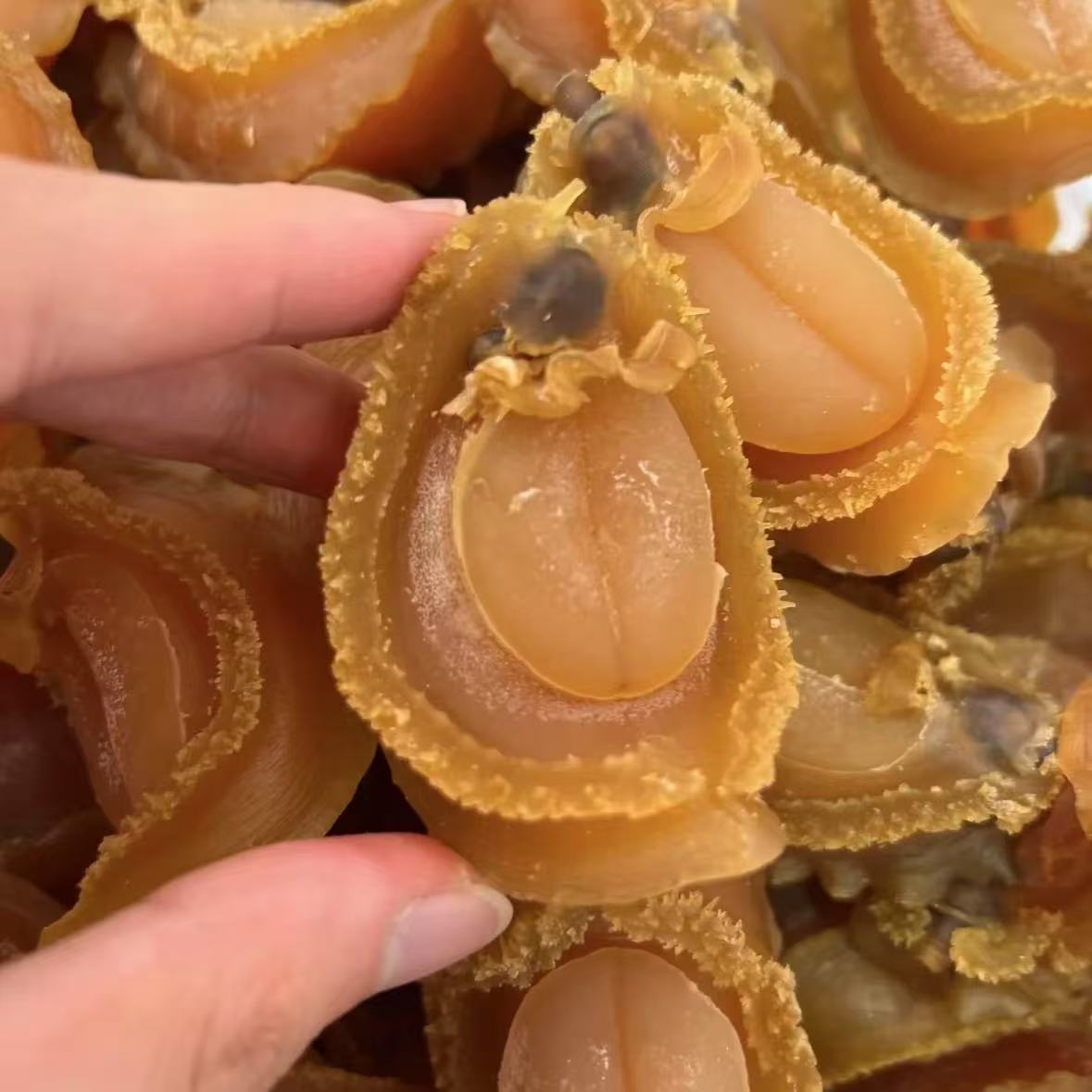 H 裕初 65头鲍鱼干鲍 400克  煲汤煮粥 干货 广东汕头