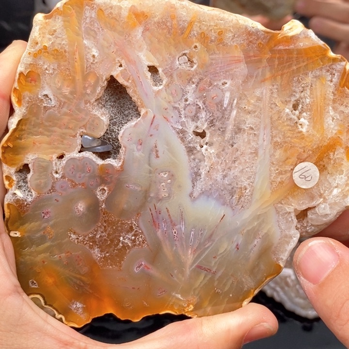 硅化珊瑚（珊瑚玉）手镯未镶嵌