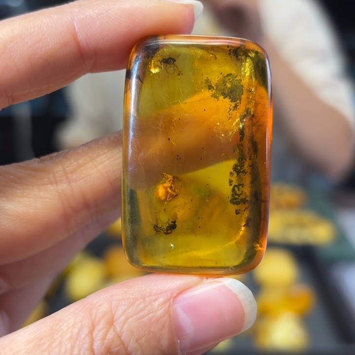 虫珀未镶嵌颈饰虫珀