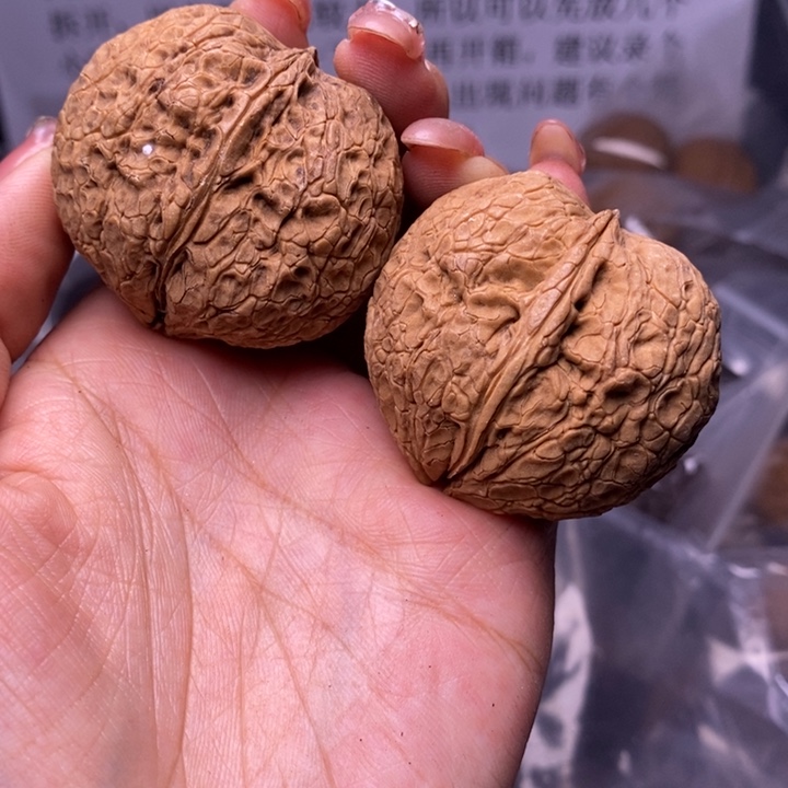 核桃云南野生铁核桃23号43mm