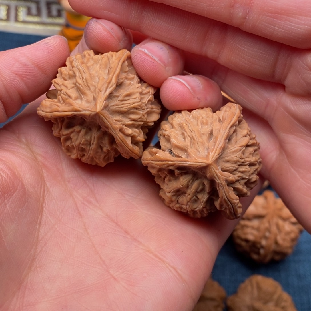 文玩核桃把件37正奔