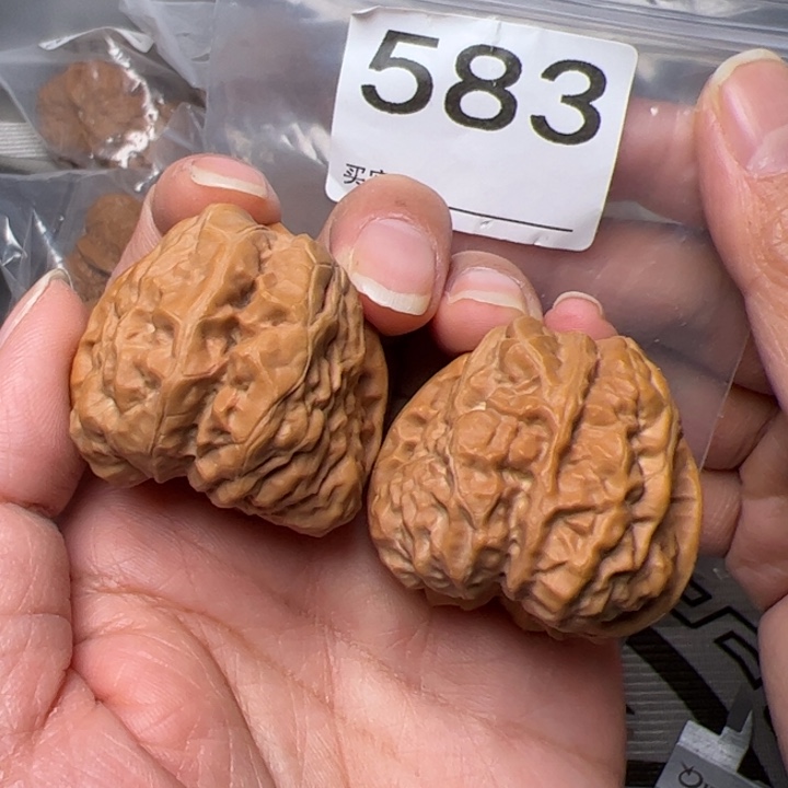 核桃边38肚42尺583号四开背