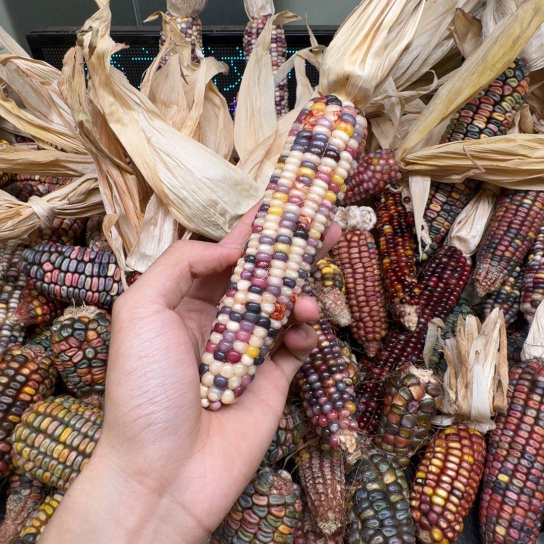 柏香籽/百香籽吊坠?****?