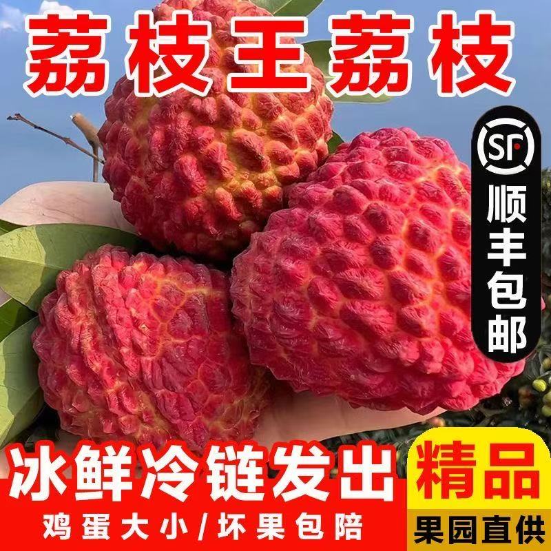 海南火山口荔枝王3斤-5斤装顺丰送到家坏了包赔荔枝同城送新鲜海南省
