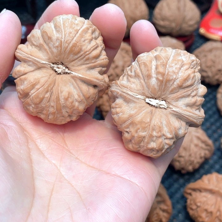 南瓜墩4.2全品无修。