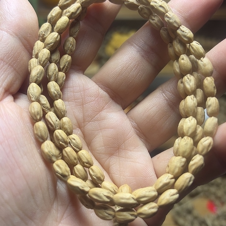 柏香籽/百香籽吊坠长腿1