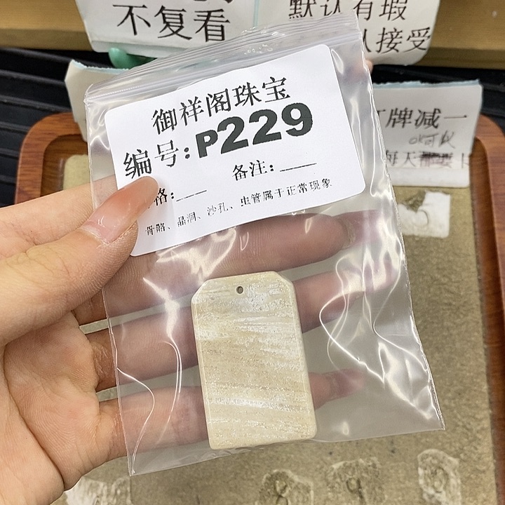 硅化珊瑚（珊瑚玉）未镶嵌颈饰焯*