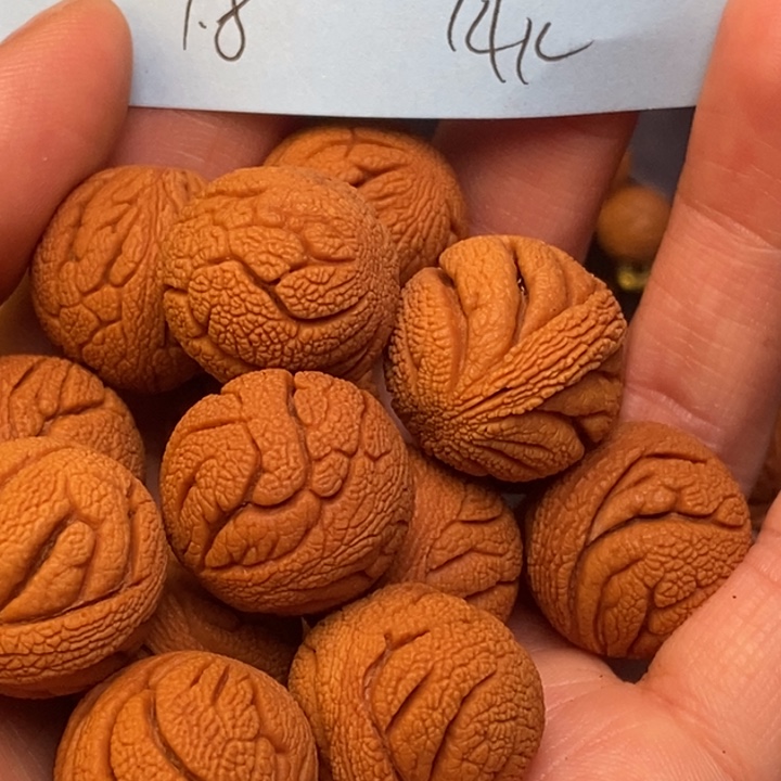 吊坠桃核秦岭龙纹桃核18尺寸