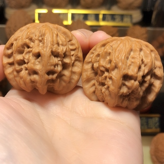 精品：油蜡皮大野狼