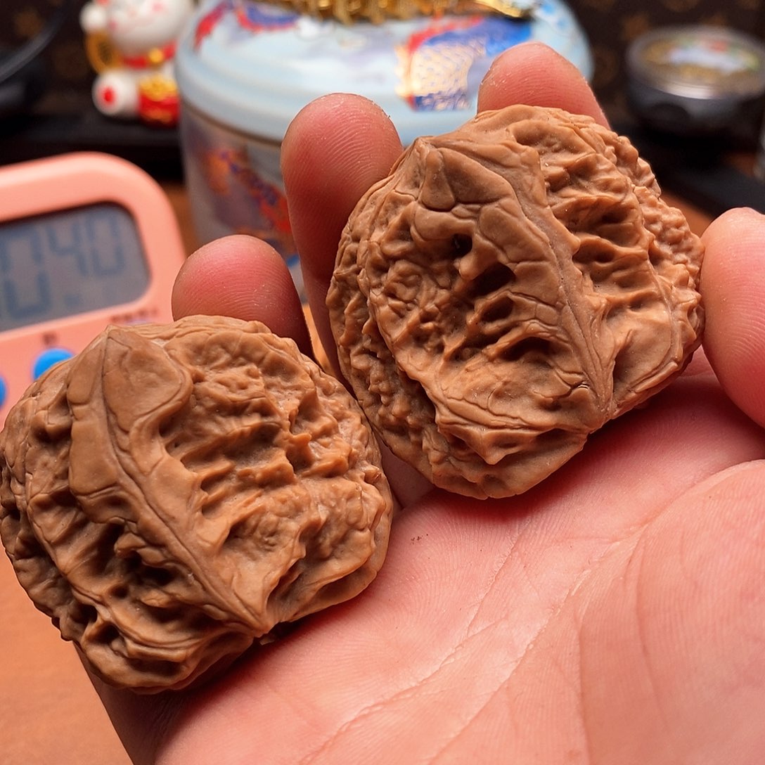 是啊我们是一个小时没有
