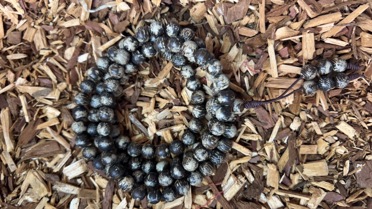 沉香z41 福莱精选高端文玩