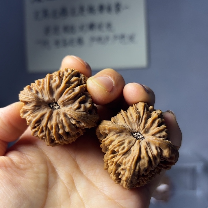 爱***爱南疆石狮子头一对