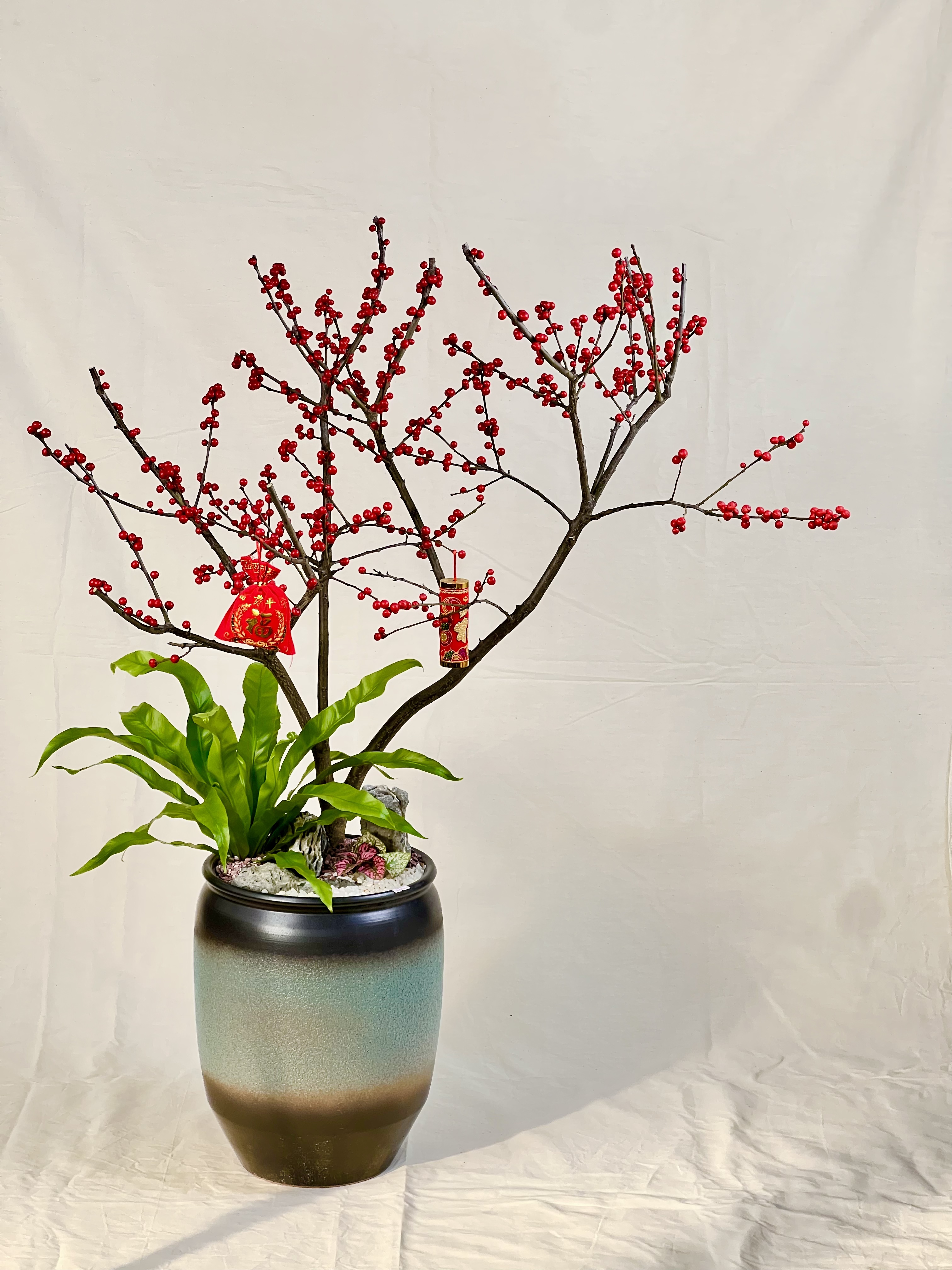 北美冬青桌面盆栽室内绿植围炉煮茶氛围软装书房摆件年宵花带盆