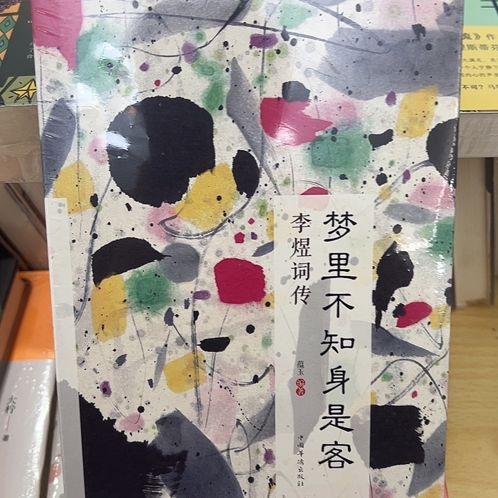 正版书籍 梦里不知