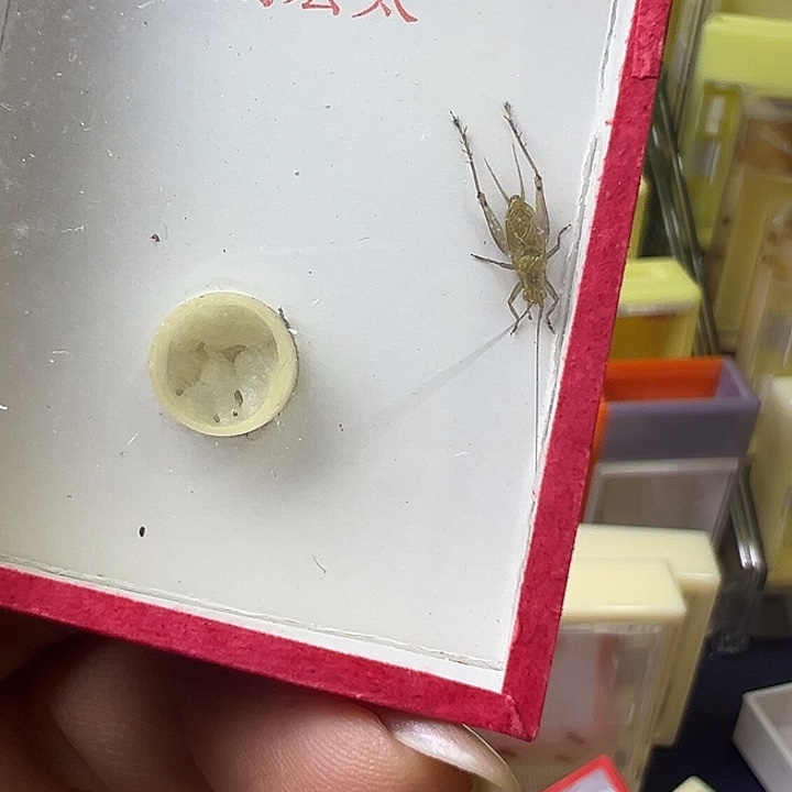 八***舅哈哈哈哈哈哈哈哈哈哈哈