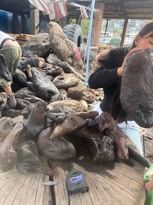 民间使用风化木漂流木