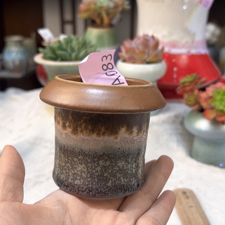 景德镇陶瓷研究所，2单包哦呦