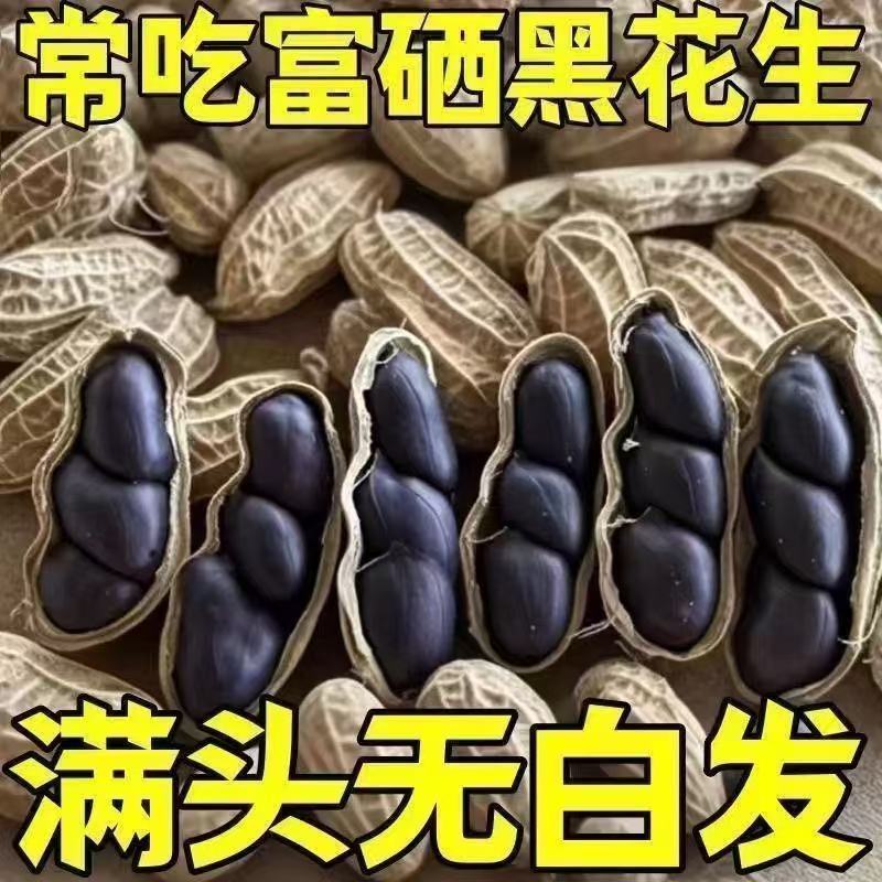【生250克*3】农家黑花生黑花生带壳黑花生带壳生吃紫皮花生