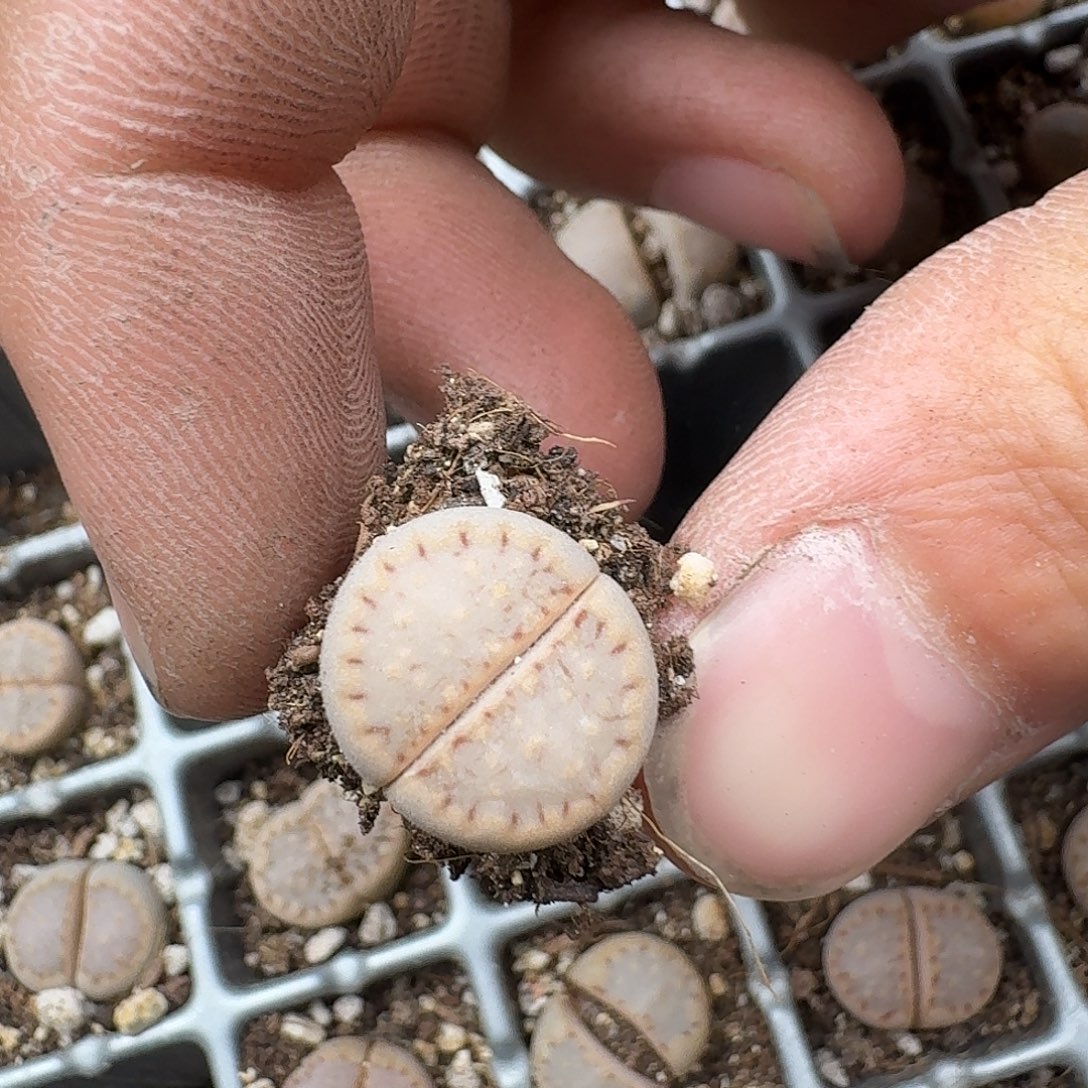 571 哈哈哈哈哈哈哈哈哈