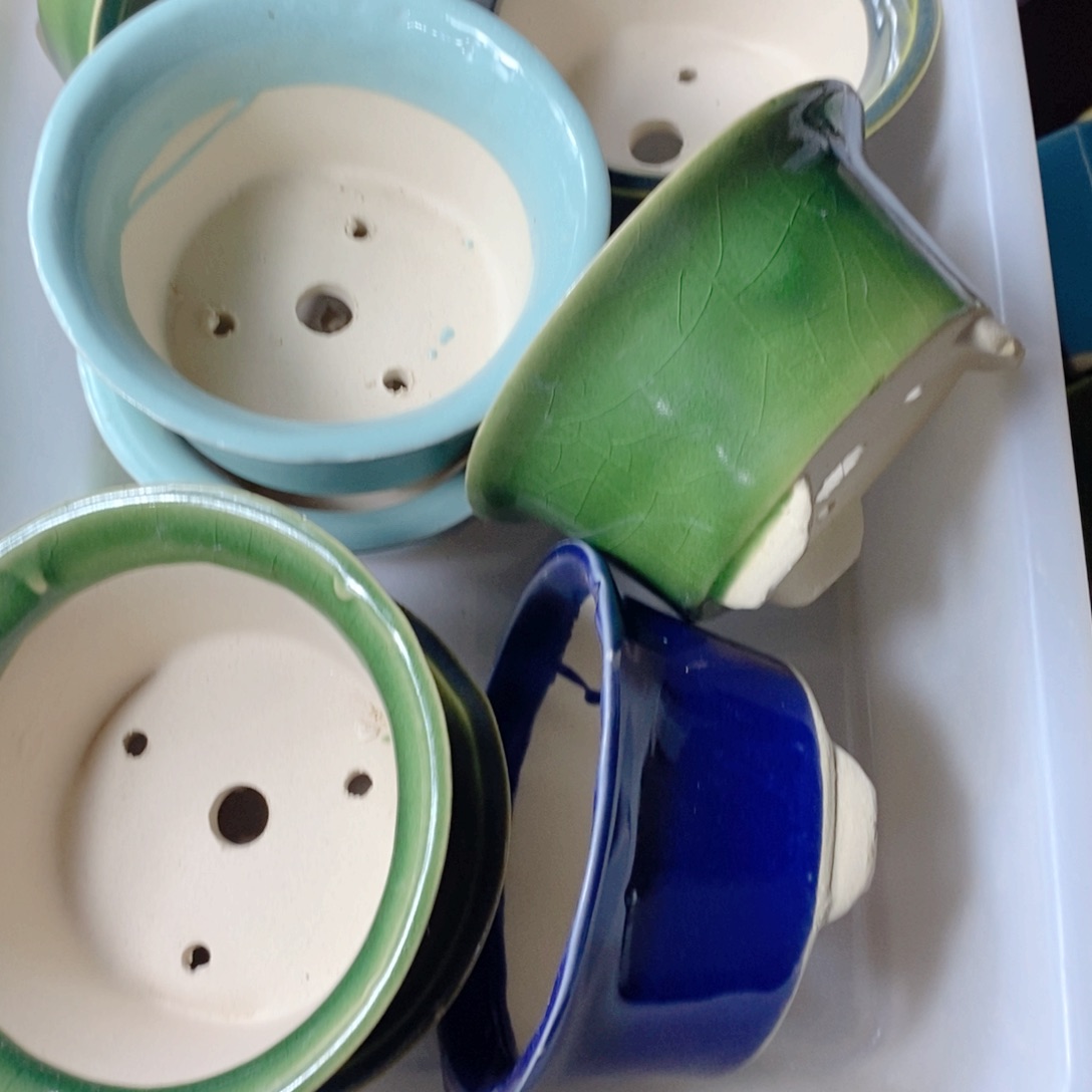 红陶T*癣疥之疾上课时间看看