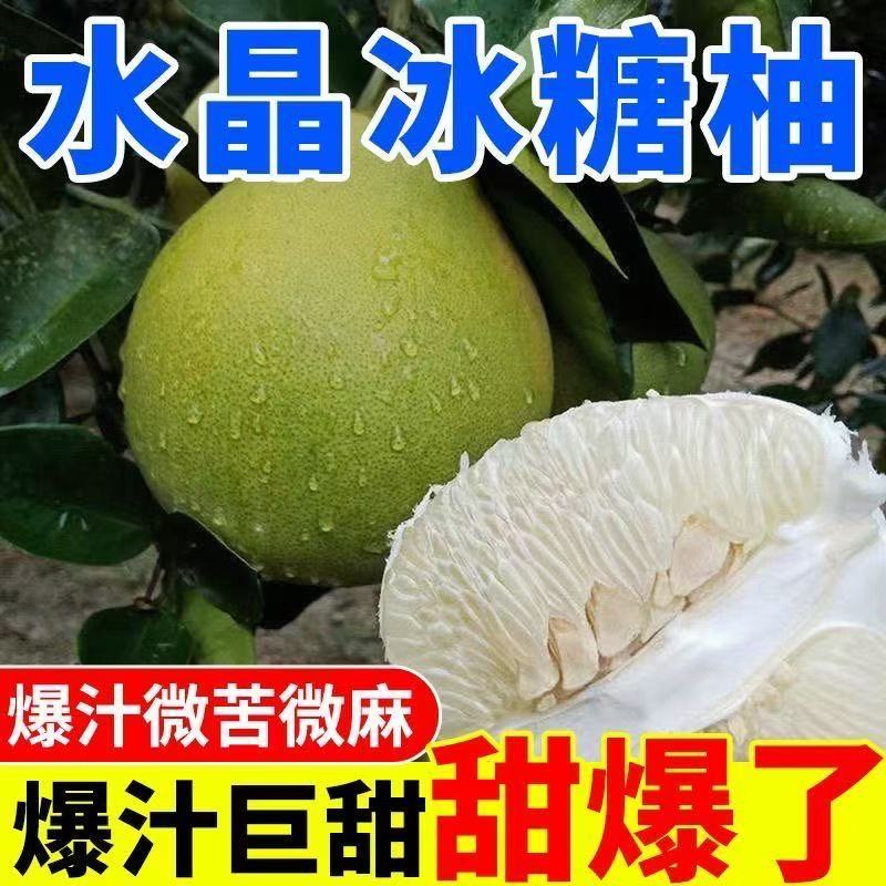 【超甜】湖南怀化正宗白心蜜柚新鲜应季水果安江冰糖柚子非红柚