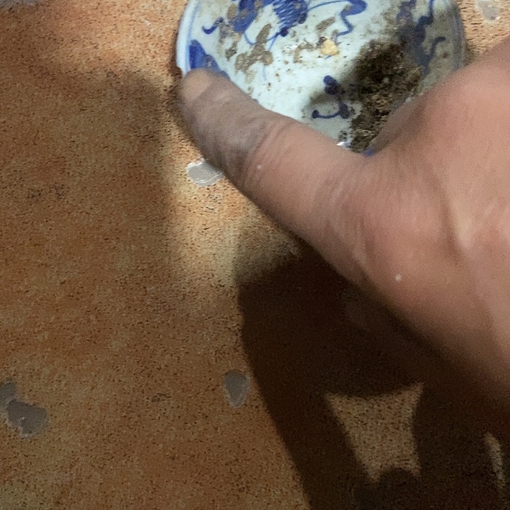 九***厰瓷片zcffffttddrtrrdryfdghhh