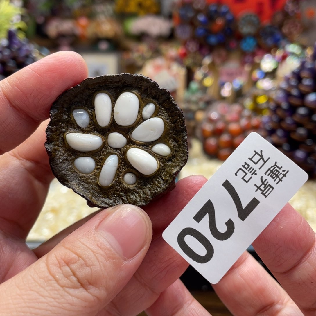 核桃木/黑胡桃（胡桃木）720