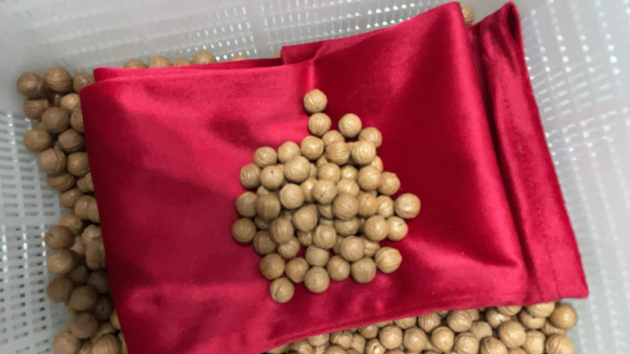 健康拍打袋，锤背神器