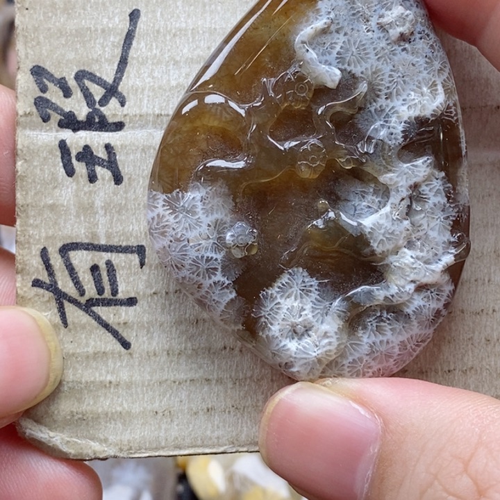 硅化珊瑚（珊瑚玉）颈饰未镶嵌