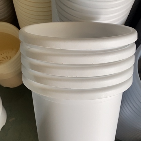 树脂四季4号纯白无托10个