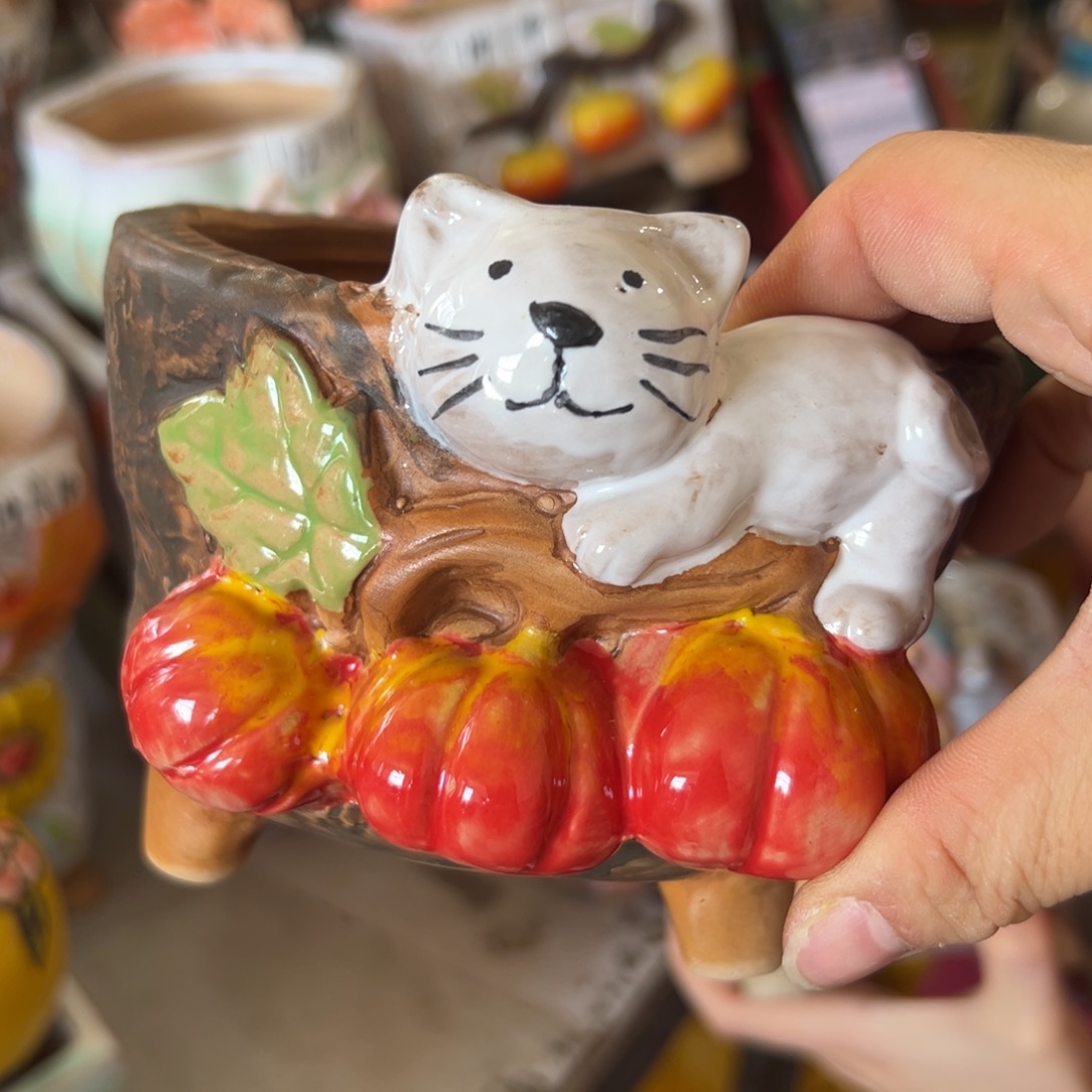 花盆，满20米发货爱退款拉黑