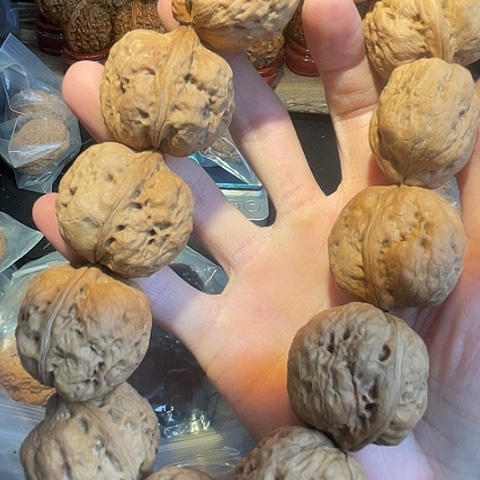 文玩核桃手串聚宝金蟾12粒带彩36